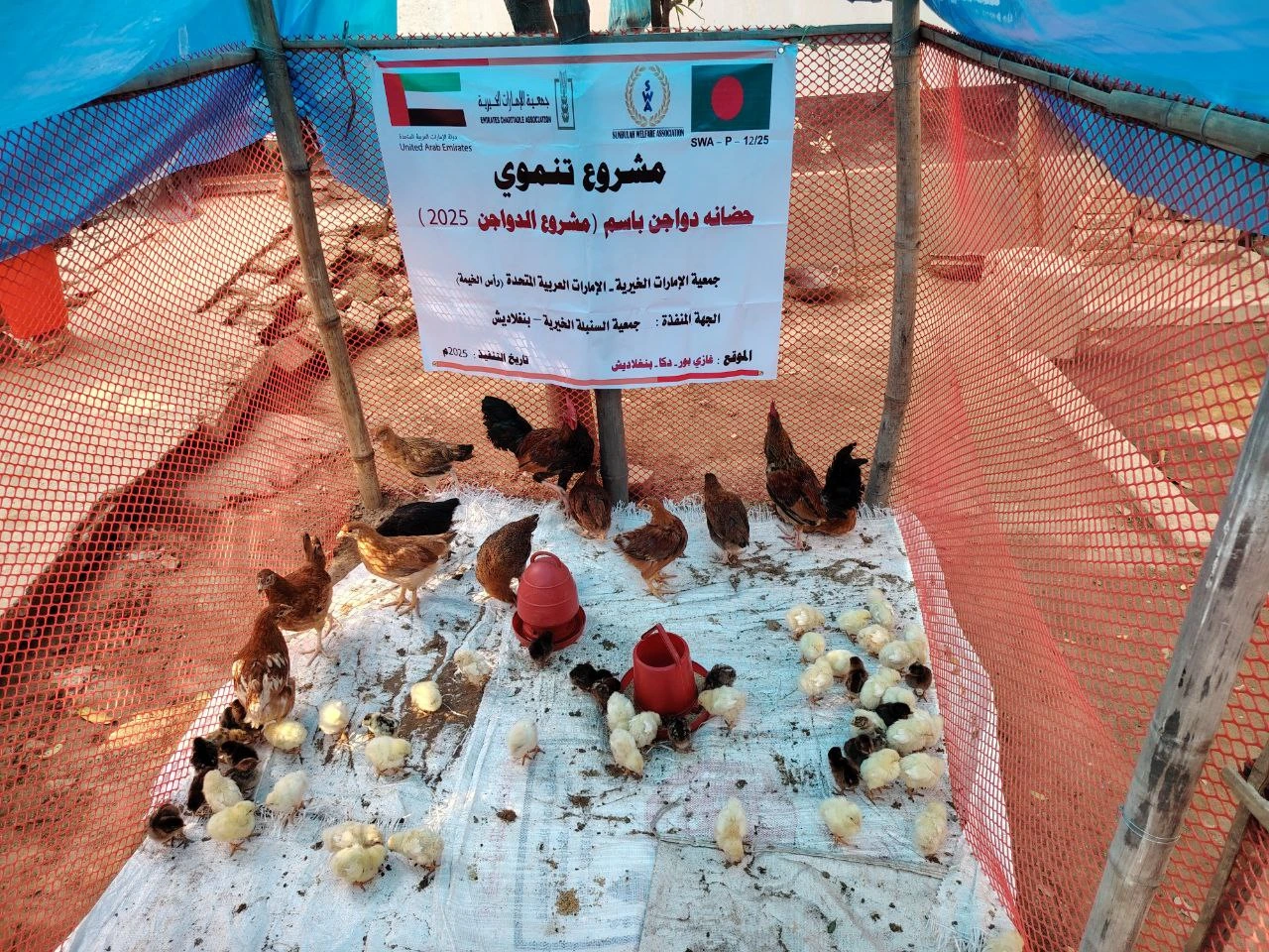 Domestic Animal Distribution